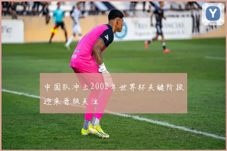 中国队冲击2002年世界杯关键阶段迎来晋级关注
