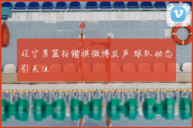 辽宁男篮孙锴祺微博发声 球队动态引关注